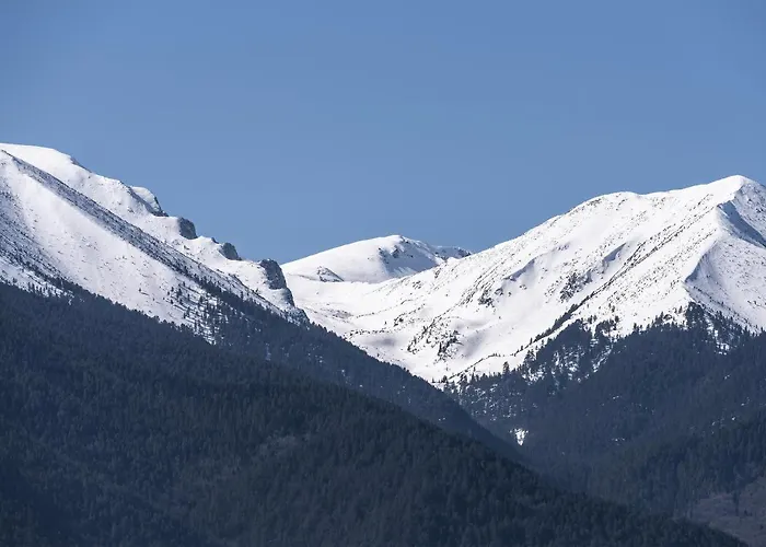 ковачева-3 公寓